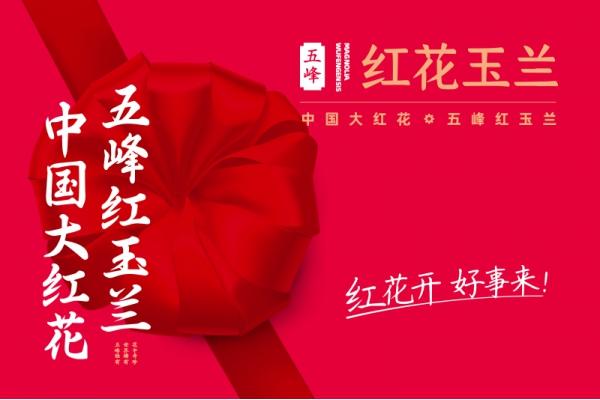 宜昌网站制作|宜昌网站建设|宜昌网站设计|宜昌小程序开发专业公司